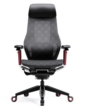 GX Red Super Ergonomic Chair 2